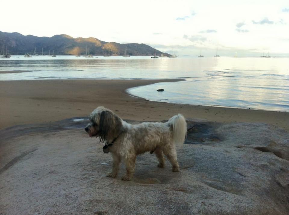 Executive Properties In North Ward Townsville And On Magnetic Island Kültér fotó
